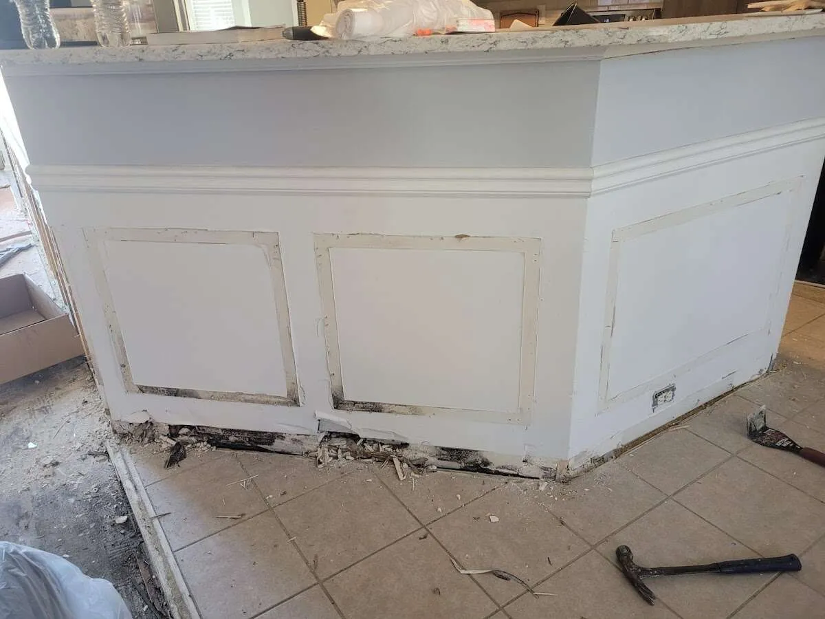 Water damage and mold on kitchen during Sewage Cleanup & Sanitation in Napa